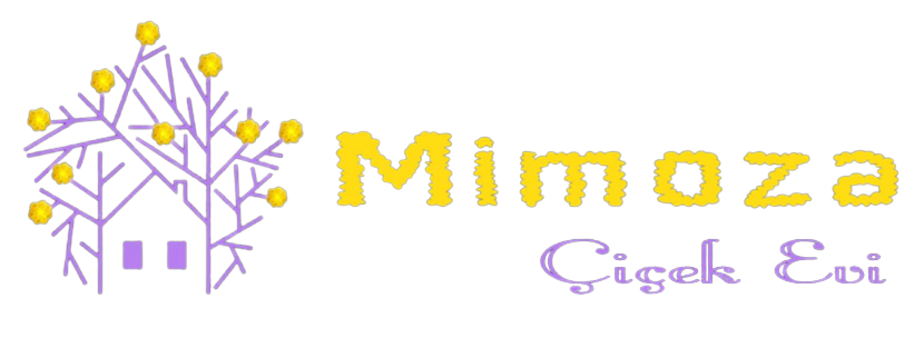 mimoza-cicekcilik-logo